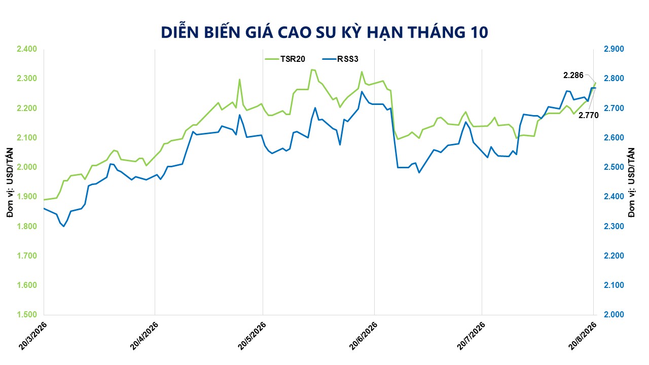 THỊ TRƯỜNG HÀNG HÓA: MXV-Index vượt 2.900 điểm, lên mức cao nhất từ cuối tháng 5- Ảnh 2.