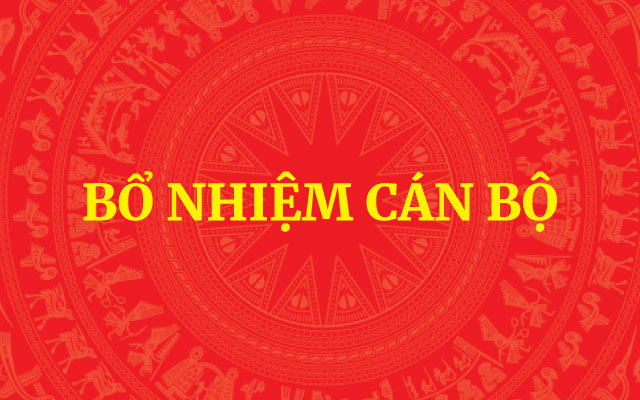 Bổ nhiệm Trợ lý Phó Thủ tướng Chính phủ Hồ Quốc Dũng