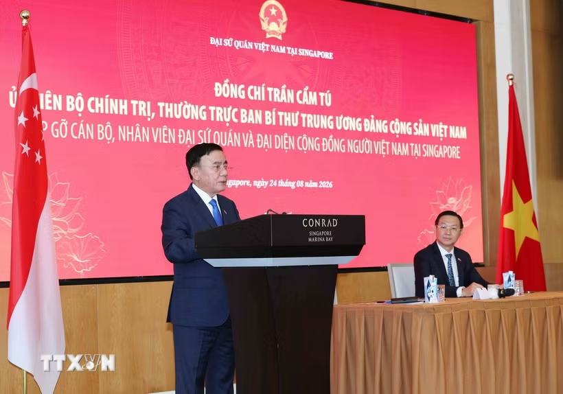 Gắn kết cộng đồng người Việt Nam tại Singapore để góp phần đưa quan hệ hai nước đi vào chiều sâu- Ảnh 1.