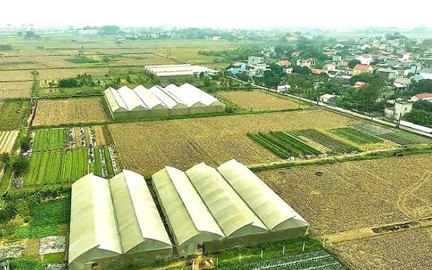 Điều kiện chuyển mục đích sử dụng đất sau dồn điền đổi thửa