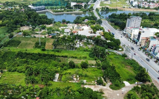 Căn cứ quy hoạch nào để chuyển mục đích sử dụng đất?