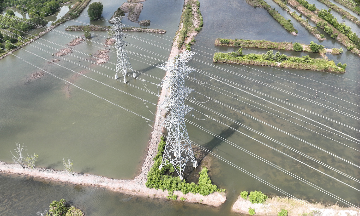 Hoàn thành dự án TBA 220kV Năm Căn và đường dây 220kV Năm Căn - Cà Mau 2- Ảnh 1.