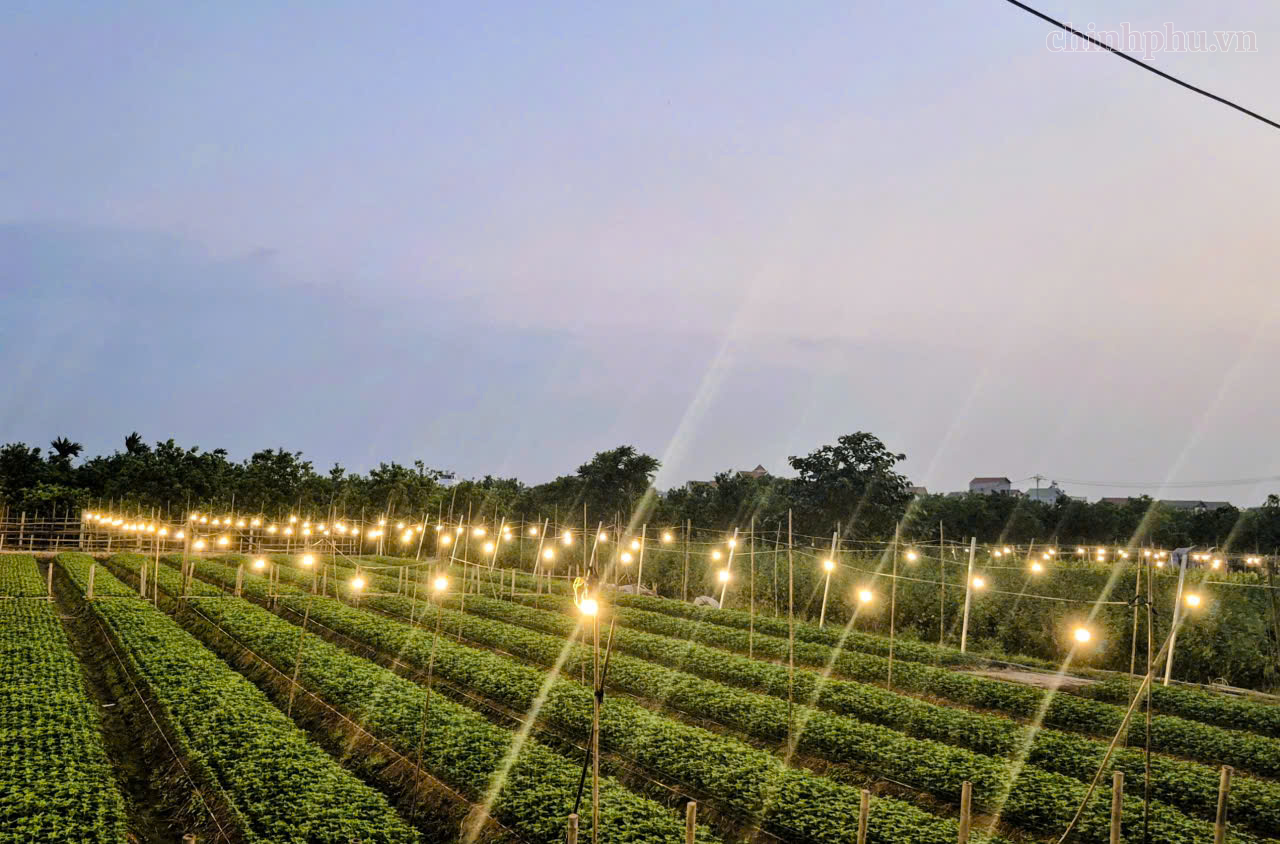 Xây dựng nông thôn mới Thủ đô: Từ bộ tiêu chí mới đến khát vọng hiện đại- Ảnh 2.