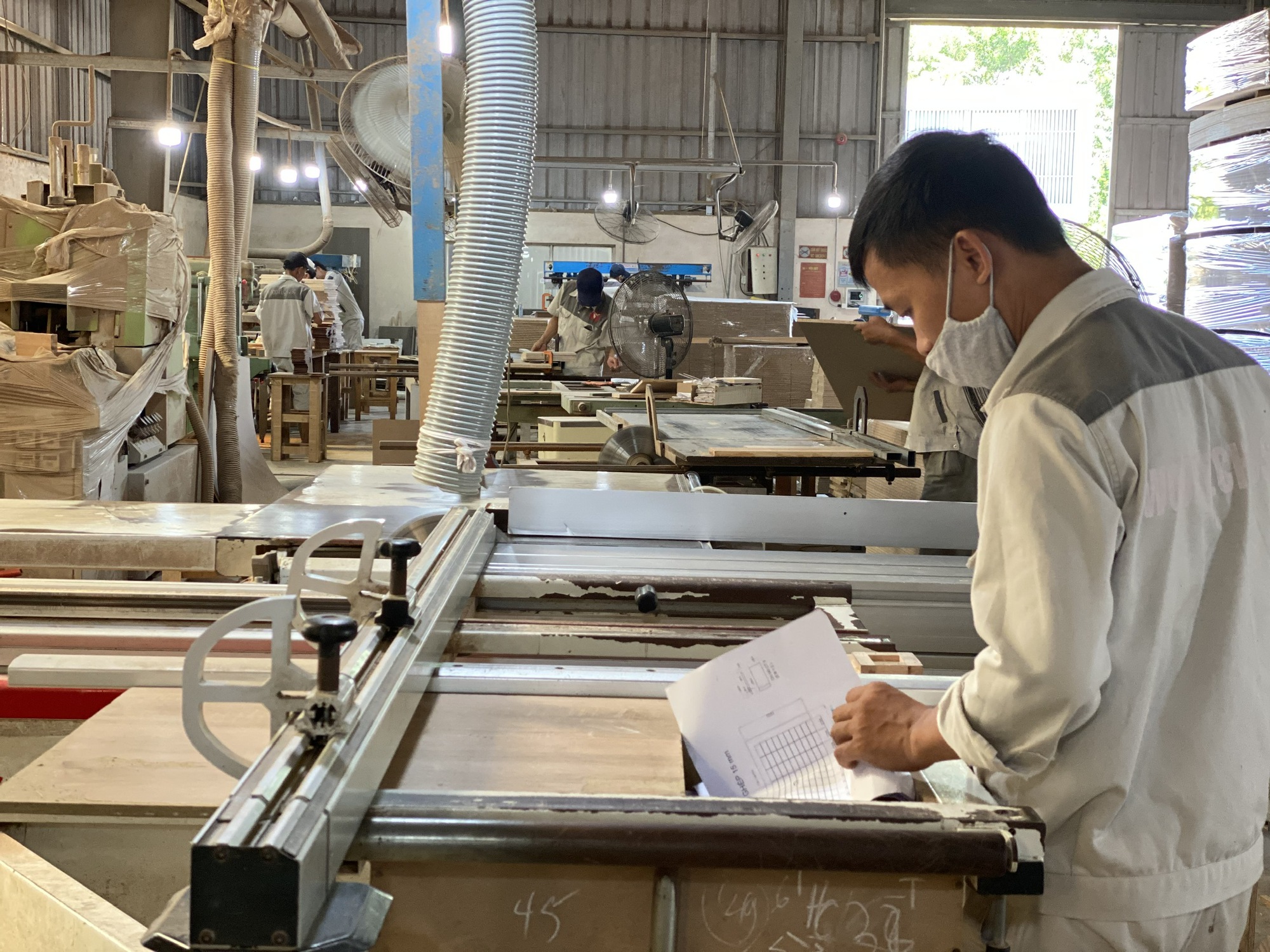 Lâm nghiệp: Từ phục hồi rừng đến phát triển kinh tế- Ảnh 2.