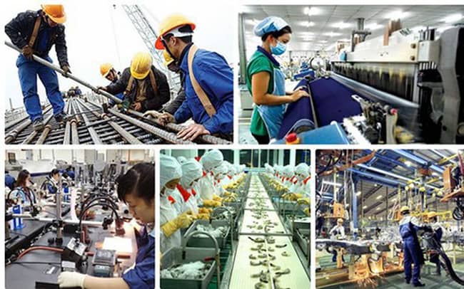 Triển khai thực hiện Kết luận số 62-KL/TW về nâng cao năng suất lao động quốc gia gắn với phát triển thị trường lao động