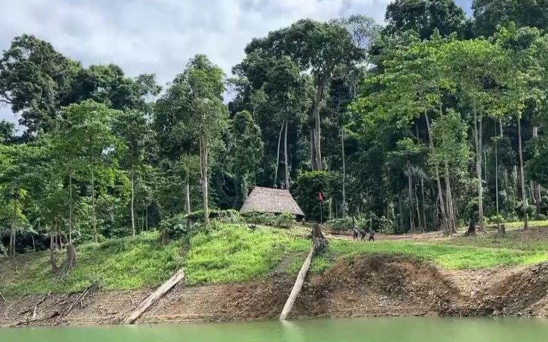 Dự án có rừng, chuyển mục đích trước hay thu hồi trước?