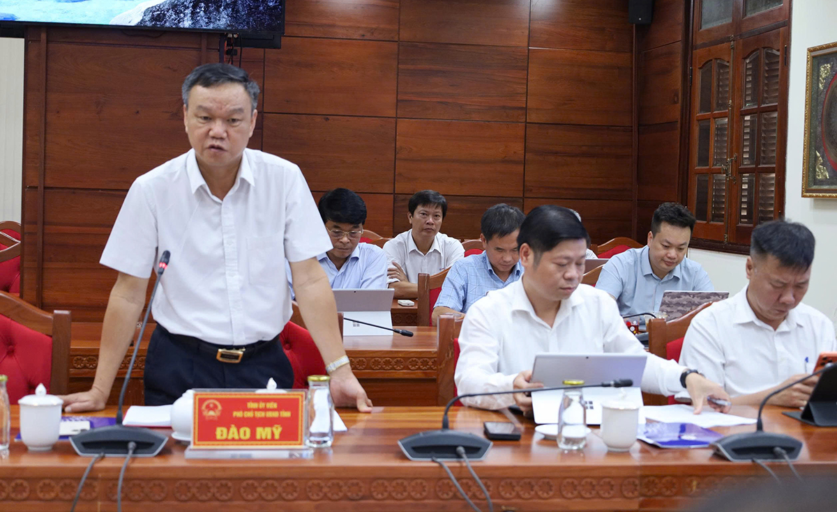 Tập trung đẩy nhanh tiến độ các dự án truyền tải điện trên địa bàn tỉnh Đắk Lắk- Ảnh 3.