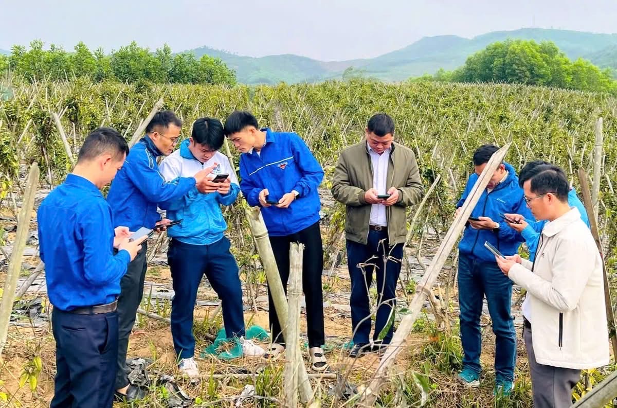 Chuyển đổi số ‘bén rễ’ ở vùng cao- Ảnh 2.