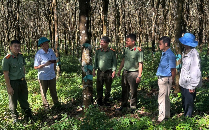 Quy định về nguyên tắc kết hợp an ninh với kinh tế - xã hội