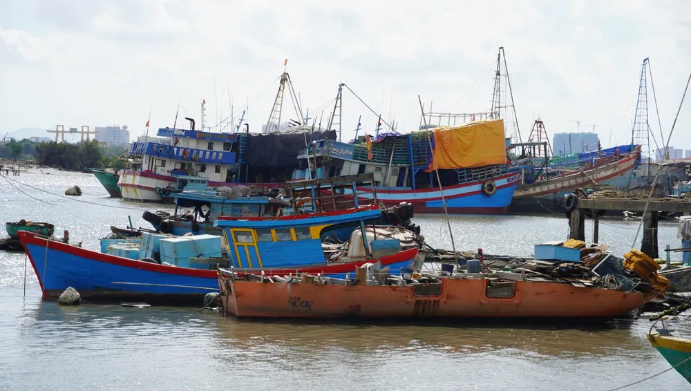 Quản lý chặt tàu thuyền, chủ động ứng phó áp thấp nhiệt đới trên biển- Ảnh 1.