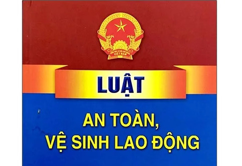 Chính phủ thông qua dự án Luật sửa đổi, bổ sung một số điều của Luật An toàn, vệ sinh lao động- Ảnh 1.