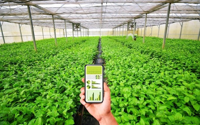 Dự kiến cơ chế sử dụng ngân sách nhà nước hỗ trợ hợp tác xã, liên hiệp hợp tác xã
