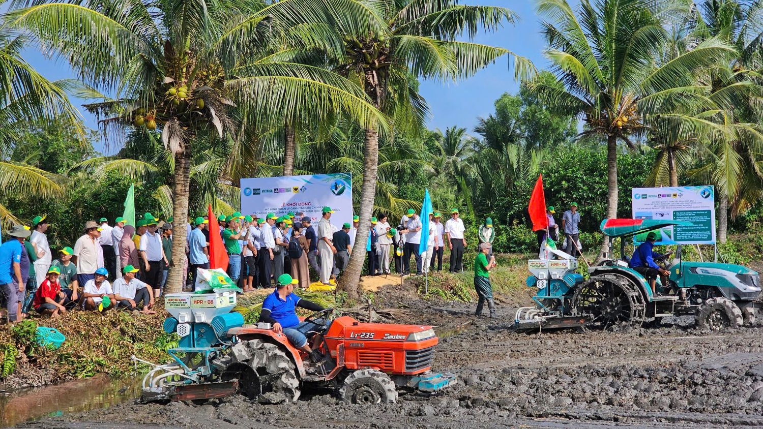 Hiệu quả mô hình lúa-tôm và sức khỏe đất sau mỗi mùa vụ- Ảnh 1.