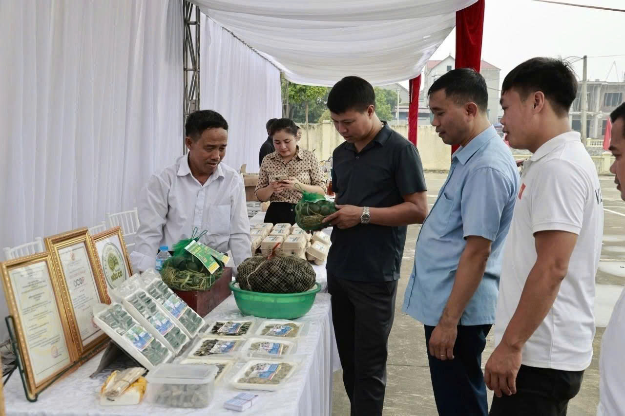 Nâng cao chất lượng xây dựng nông thôn mới, hướng tới không gian sống văn minh hiện đại- Ảnh 1.
