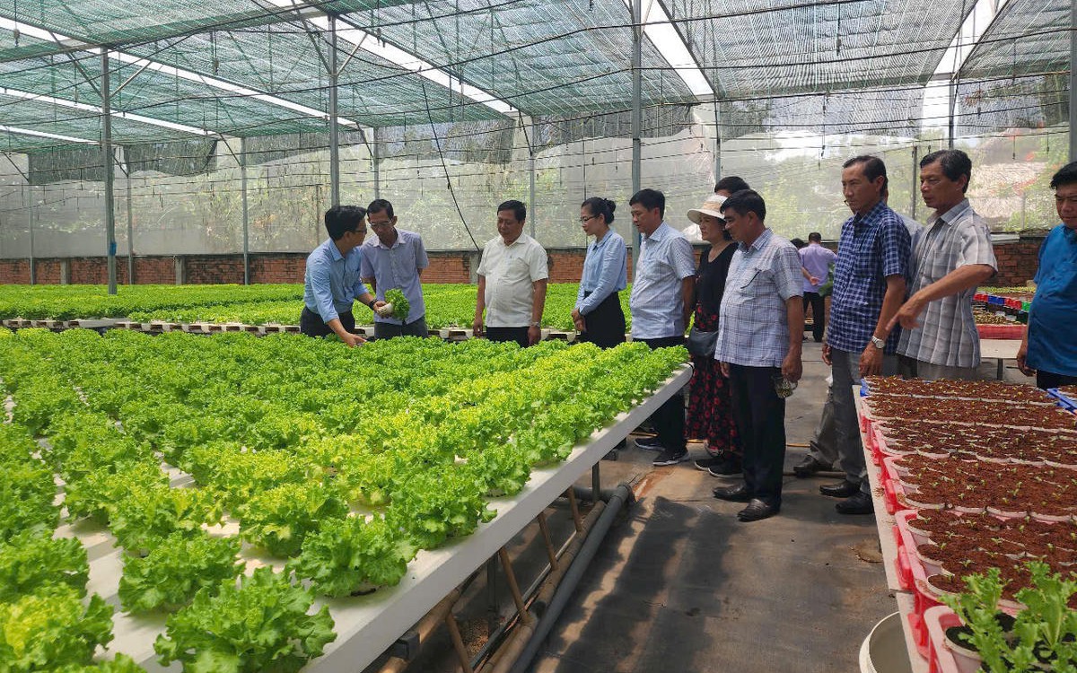 Dự kiến 18 lĩnh vực NN&MT người có chức vụ không được thành lập doanh nghiệp sau khi thôi chức