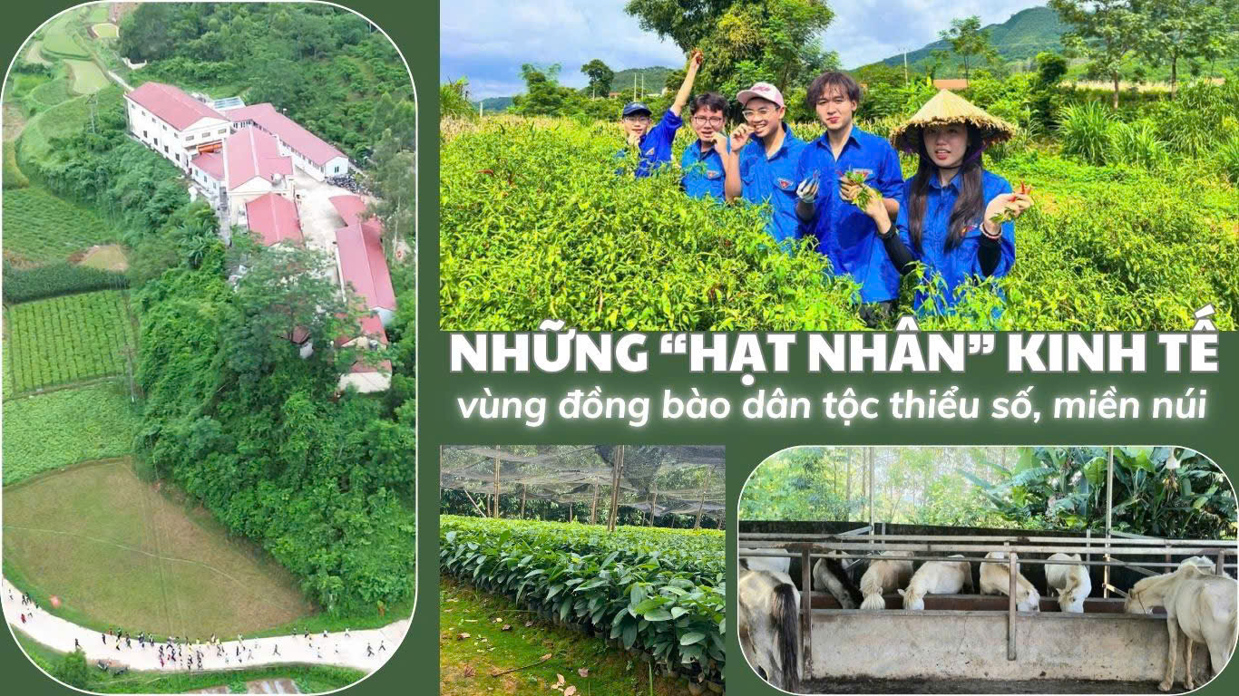 Những ‘hạt nhân’ kinh tế vùng đồng bào dân tộc thiểu số, miền núi- Ảnh 4.