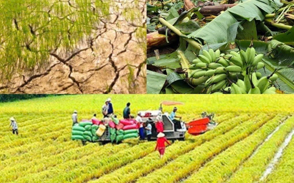 Chỉ đạo, điều hành của Chính phủ, Thủ tướng Chính phủ ngày 9/9/2026