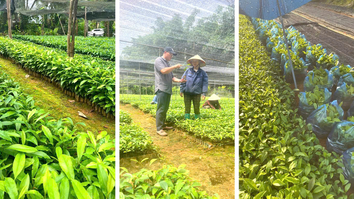 Những ‘hạt nhân’ kinh tế vùng đồng bào dân tộc thiểu số, miền núi- Ảnh 1.