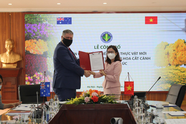 New phytosanitary measure for Viet Nam’s cut flowers exported to Australia - Ảnh 1.