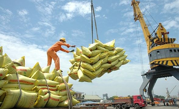 Rice export surges in first ten months - Ảnh 1.