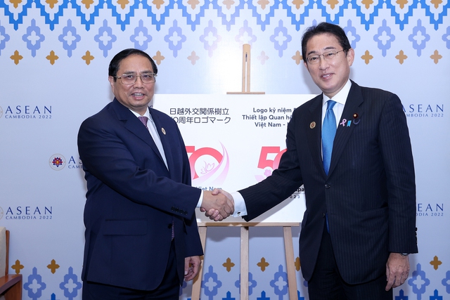 Viet Nam seeks Japan's assistance for renewable energy development - Ảnh 1.