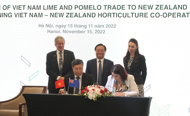 Two more Vietnamese fruits allowed to export to New Zealand  - Ảnh 1.
