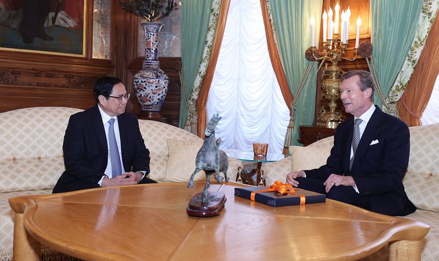 Prime Minister meets Grand Duke of Luxembourg
 - Ảnh 1.