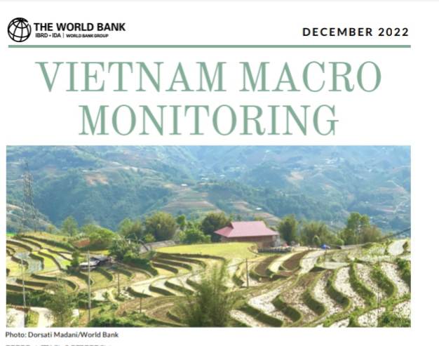 WB report: Vietnamese Dong gains slightly in value in November - Ảnh 1.