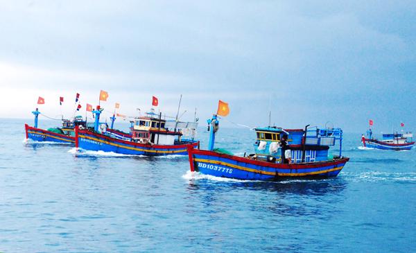 Efforts to remove the European Commission's &quot;yellow card&quot; on Vietnamese fishing industry - Ảnh 1.