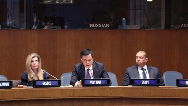 Viet Nam co-chairs workshop on 40th anniversary of UNCLOS - Ảnh 1.