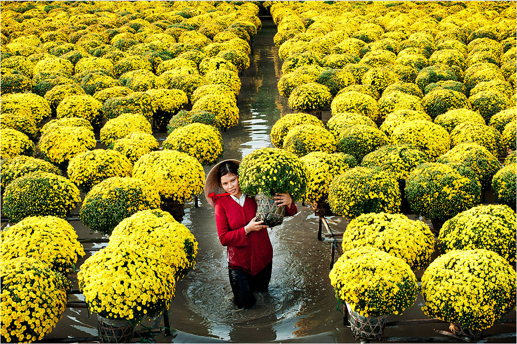 Sa Dec Flower Village, an attractive destination in Tet