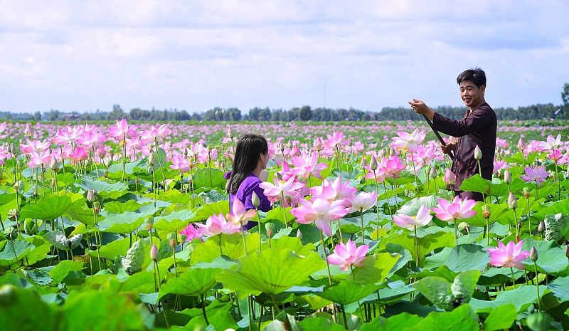 Sa Dec Flower Village, an attractive destination in Tet - Ảnh 10.