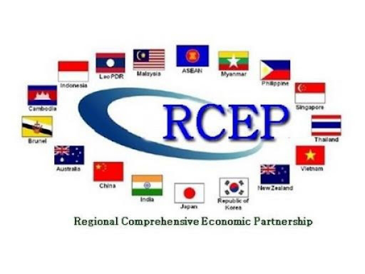 DPM assigns ministries to implement RCEP - Ảnh 1.
