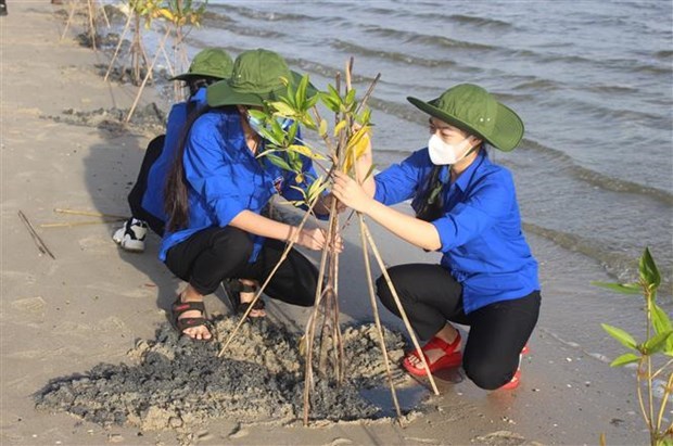 UNDP helps Vietnam strengthen women’s resilience to climate change  - Ảnh 1.