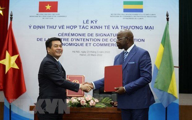 VN, Gabon ink letter of intent on economic and trade cooperation - Ảnh 1.