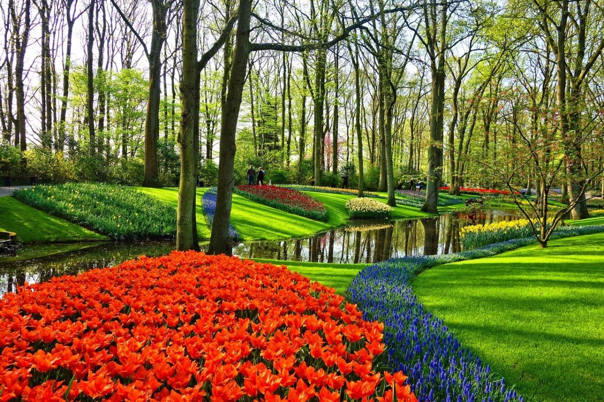 Da Lat enters Top 3 world