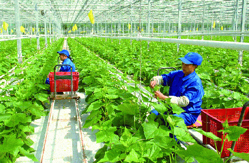 VN, Australia sign first MoU on agricultural labor export program - Ảnh 1.