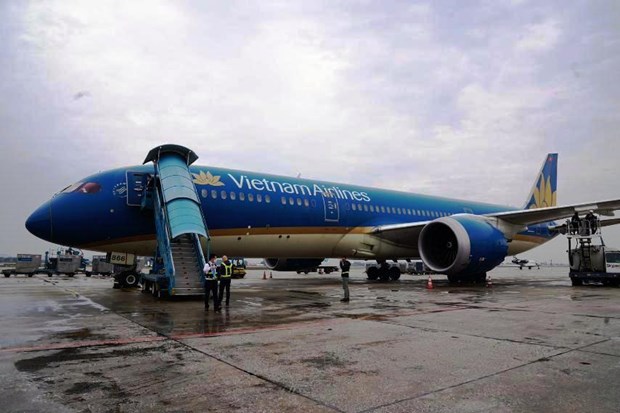 Viet Nam sends first rescue flight to Romania - Ảnh 1.