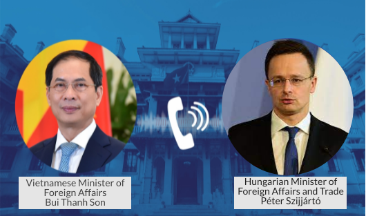 FM holds phone talks with EC, Hungarian officials - Ảnh 3.