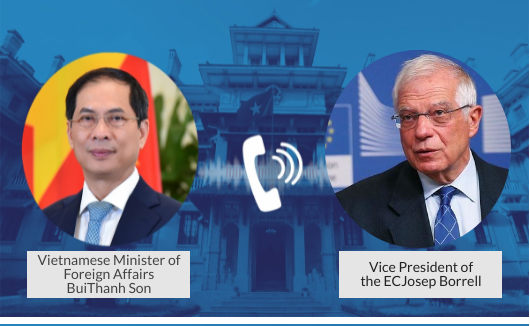 FM holds phone talks with EC, Hungarian officials - Ảnh 1.