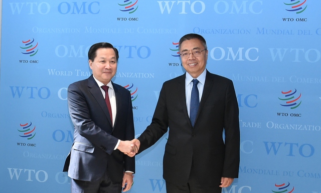 Deputy PM meets WTO deputy director-general  - Ảnh 1.