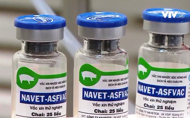 Viet Nam successfully produces African swine fever vaccine - Ảnh 1.