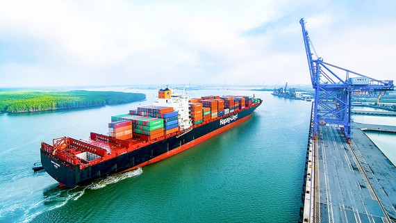 Cai Mep port named among world’s best container terminals - Ảnh 1.