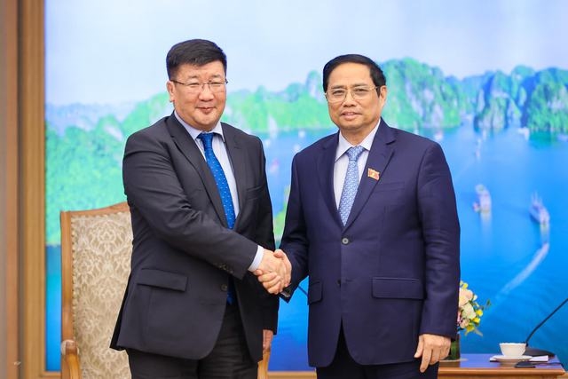 Gov’t chief receives Egyptian and Mongolian Ambassadors - Ảnh 2.