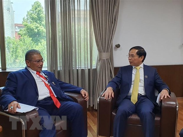 Foreign Minister meets Indonesian, Bruneian counterparts in India  - Ảnh 3.