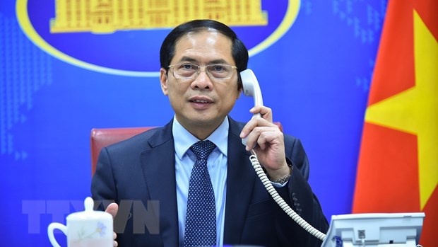 Foreign Minister holds phone conversation with Austrian counterpart - Ảnh 1.