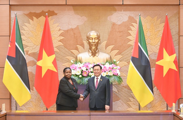 Vietnamese, Mozambican top legislators hold talks  - Ảnh 1.