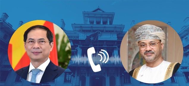 Foreign Minister holds phone conversation with Omani counterpart  - Ảnh 1.