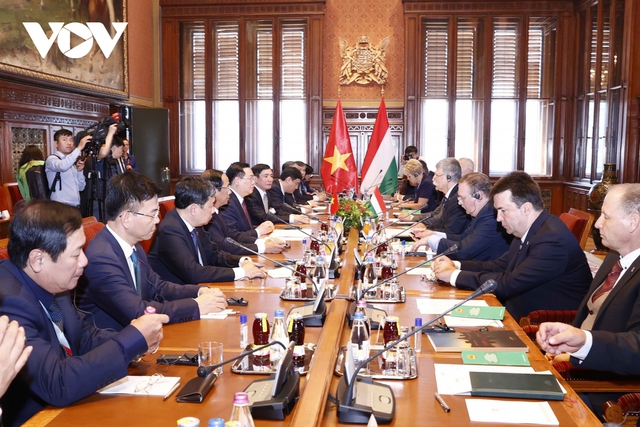Vietnamese, Hungarian top legislators hold talks  - Ảnh 1.