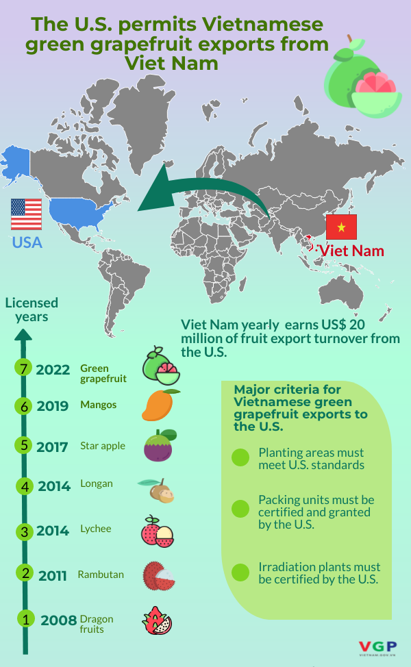 U.S. approves Vietnamese green grapefruit exports from Viet Nam - Ảnh 1.